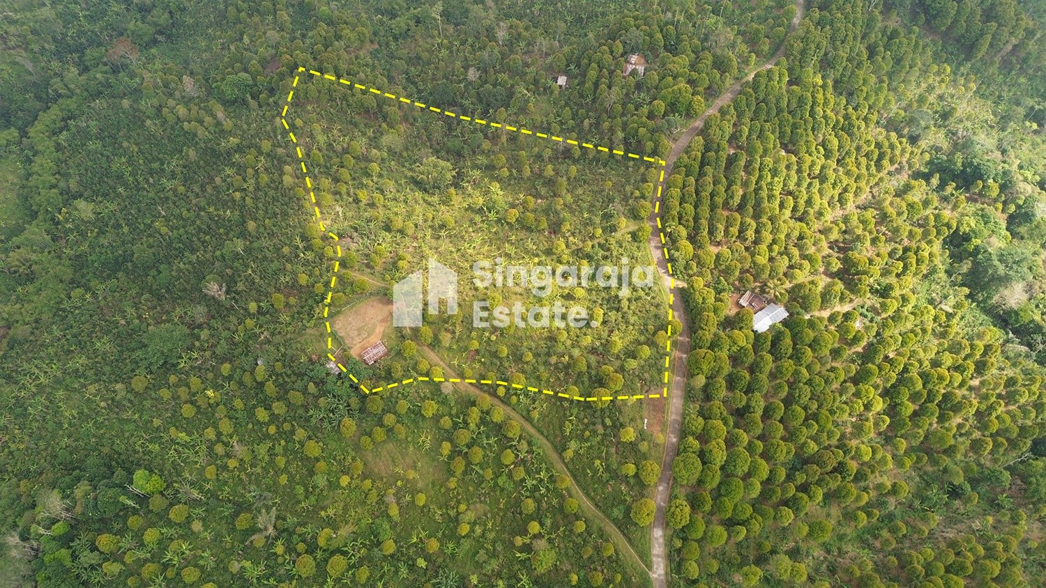 Tanah 5 Hektare View Laut di Dataran Tinggi Buleleng - Image 8